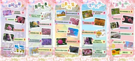 南方+ 陈薇 拍摄
