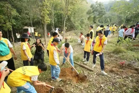 4.jpg 图片
