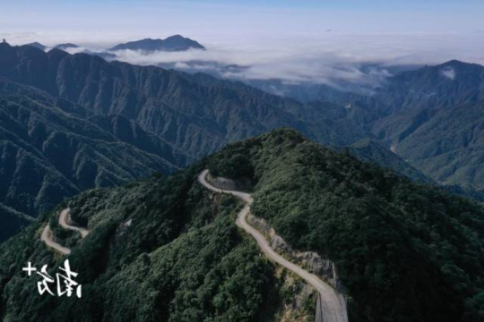 南岭风光。 南岭风光。