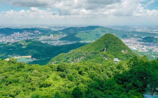 △东莞观音山森林公园。 △东莞观音山森林公园。