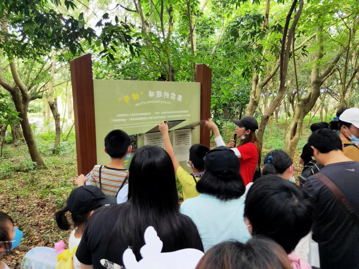 5.广东茂名森林公园