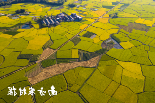 韶关始兴县生态田园 韶关始兴县生态田园
