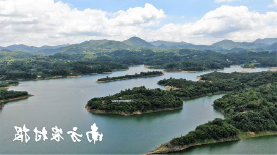 河源市生态茶林 河源市生态茶林