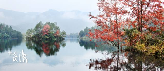 梅州蕉岭县乡村秋色 梅州蕉岭县乡村秋色