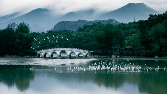 9d3874ffe6431aa6d16814bf3232d39.png 图片