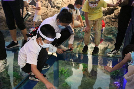 探秘海底世界.JPG