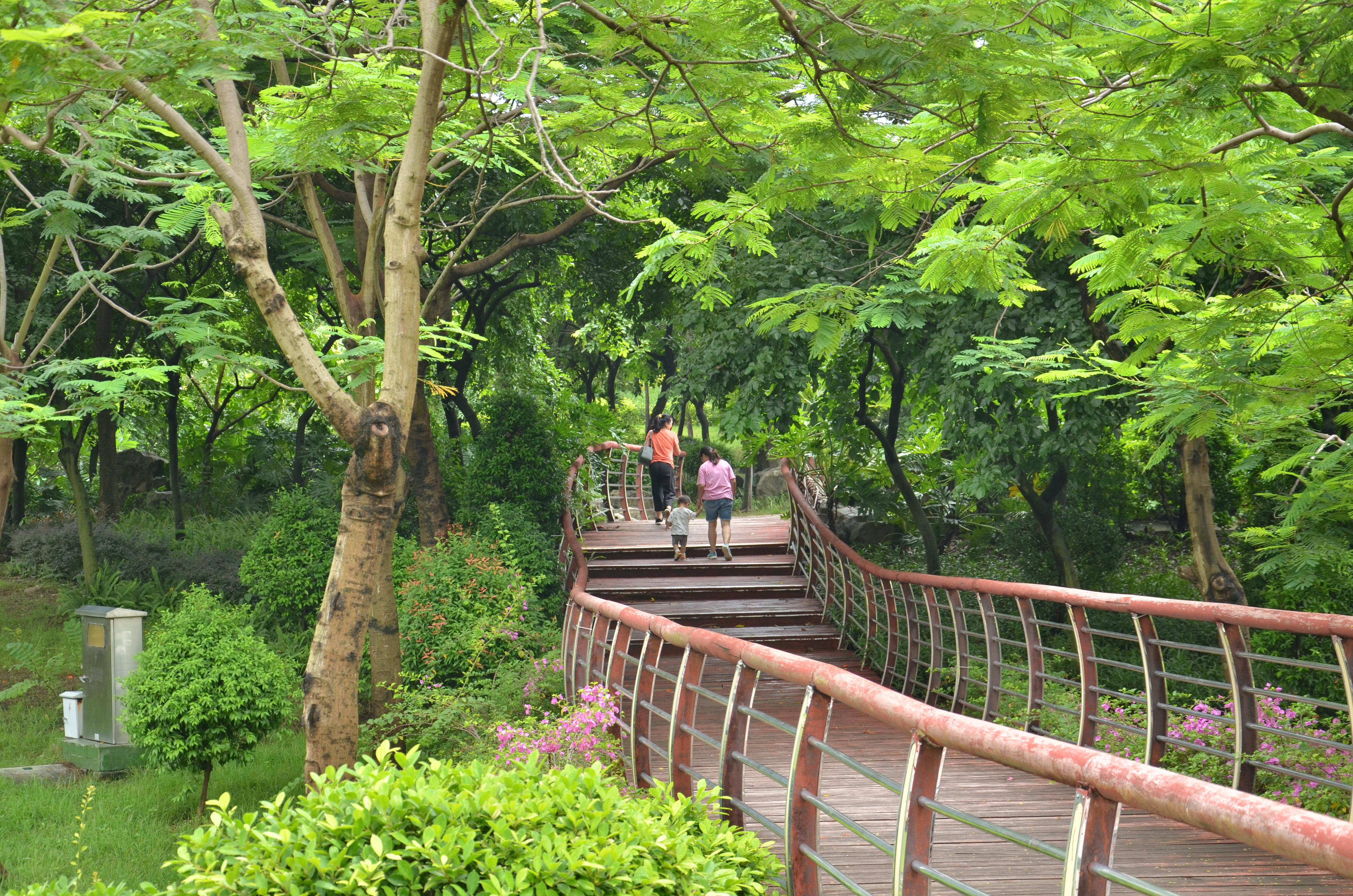 自然风光 (1).JPG
