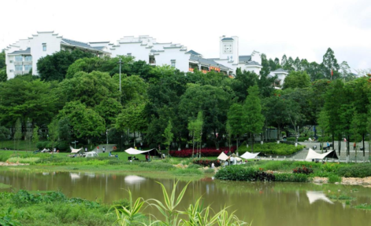 南岗河(长岭段)小微湿地。 南岗河(长岭段)小微湿地。