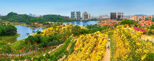 风铃园景观.jpg