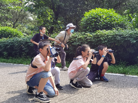 图7:观察鸟儿的少年.jpg