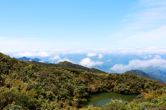 天井主峰(天井、原始山顶矮林).JPG