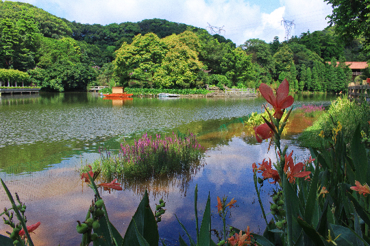 天湖小微湿地.jpg