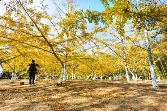 1700017308611913.jpg?x-oss-process=style/w10 帽子峰小芳坪.jpg?x-oss-process=style/w10