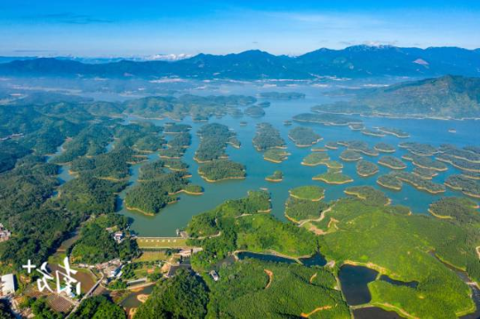 江门统筹山水林田湖草沙一体化保护和修复,在水库周边开展森林质量精准提升。图为开平孔雀湖国家湿地公园。 林国强 摄 江门统筹山水林田湖草沙一体化保护和修复,在水库周边开展森林质量精准提升。图为开平孔雀湖国家湿地公园。 林国强 摄