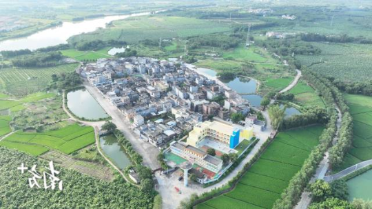 截至目前,江门全市73个镇街、1056个行政村已全部完成绿化计划。图为恩平市圣堂镇根竹头村的