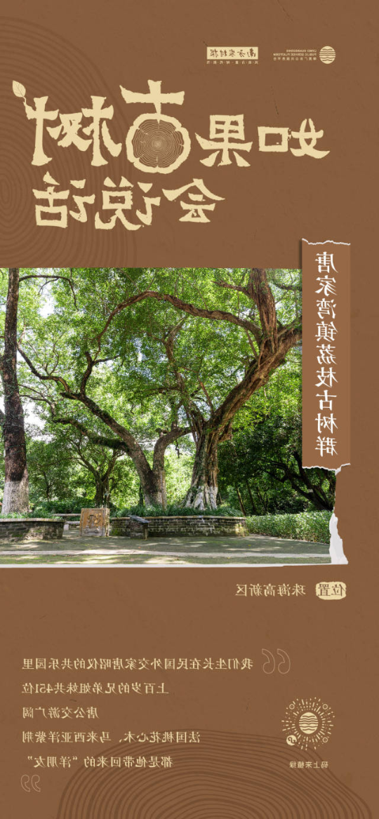 南方农村报 李嘉镓 制图