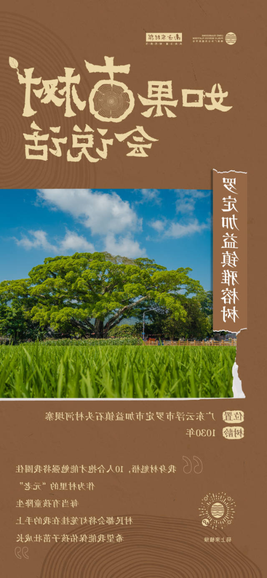 南方农村报 李嘉镓 制图