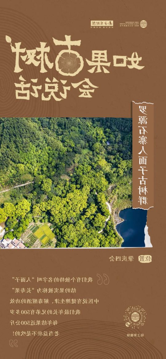 南方农村报 李嘉镓 制图