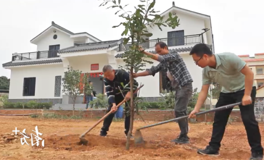 彭村村民在住宅旁规划种树点种树。杨建雄 摄 彭村村民在住宅旁规划种树点种树。杨建雄 摄
