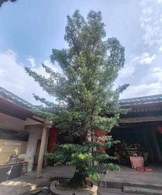 受访者供图
