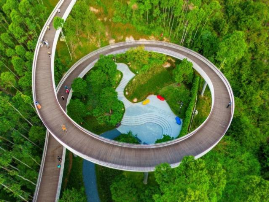 珠海红花山森林公园。图源:南方+ 珠海红花山森林公园。图源:南方+