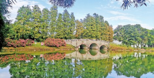 华南国家植物园园景。文香英/供图