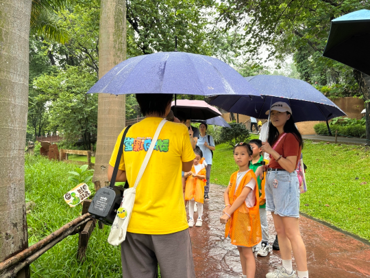 小朋友认真聆听导师讲解