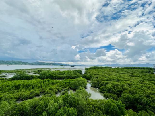 惠州好招楼湿地公园。 惠州好招楼湿地公园。