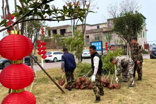 连州送苗木下乡深化乡村绿化行动。