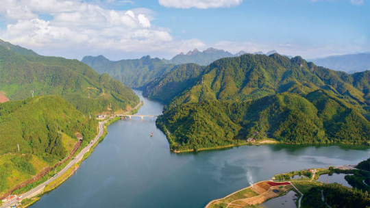 北江两岸公益林 北江两岸公益林