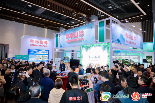 广东聚力打造 广东聚力打造