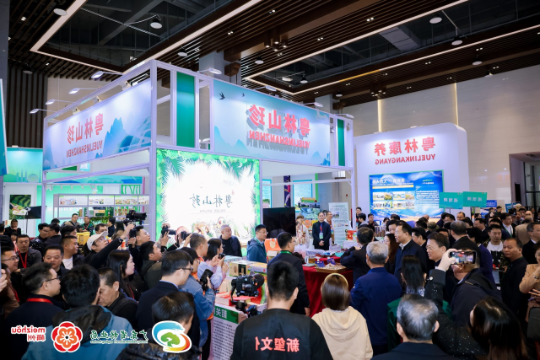 广东聚力打造 广东聚力打造