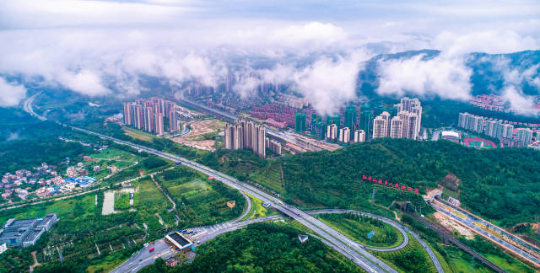 森林进城——中山火炬开发区。 森林进城——中山火炬开发区。