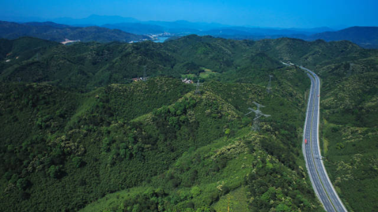 二广高速绿化实景。 二广高速绿化实景。