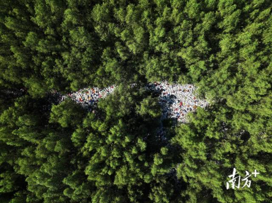 2025年6月25日,培隆沙滩旁的红树林,大片海漂垃圾覆盖红树林根部。 2025年6月25日,培隆沙滩旁的红树林,大片海漂垃圾覆盖红树林根部。