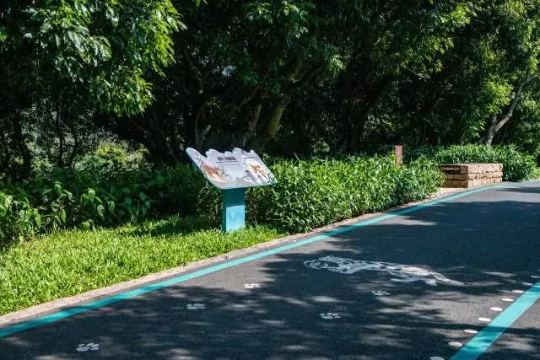 环西丽湖绿道将绿道上出现的物种以科普标识牌、路面方式方式进行科普 环西丽湖绿道将绿道上出现的物种以科普标识牌、路面方式方式进行科普