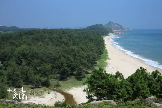 惠东县平海镇碧甲村沙化土地治理建设成效。 惠东县平海镇碧甲村沙化土地治理建设成效。