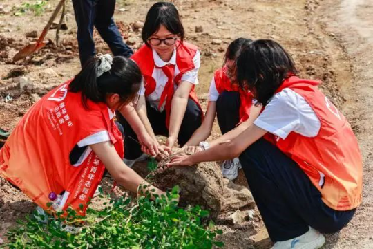 澳门及香港公众植树活动2.jpg