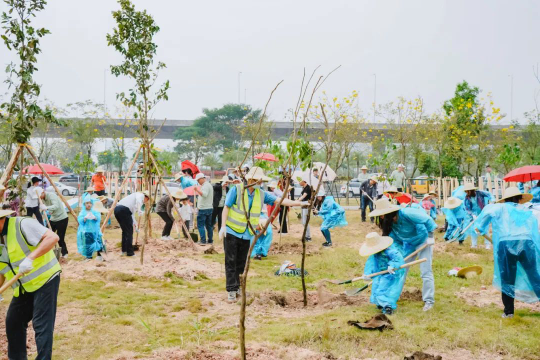 2023年种植红树现场.jpg
