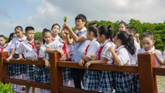 广东湛江红树林亚洲博彩平台排名推荐开展自然教育活动