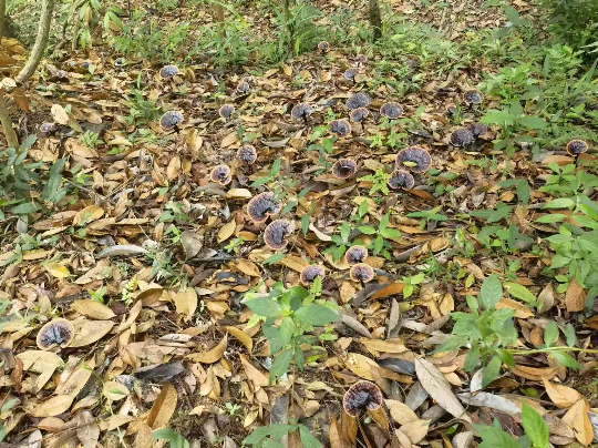 已编辑图片