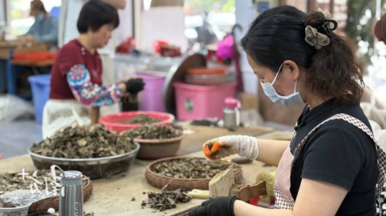 沉香加工利用。 沉香加工利用。