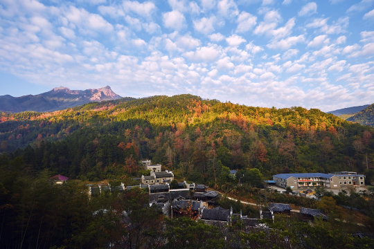 广东新丰云髻山省级自然保护区。罗志忠摄