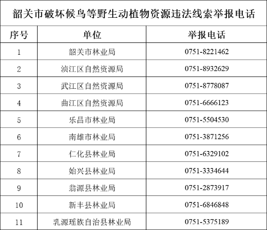 74d628657a5a9dcfc140a2638a176624.png