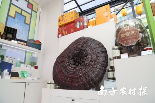 受访者供图