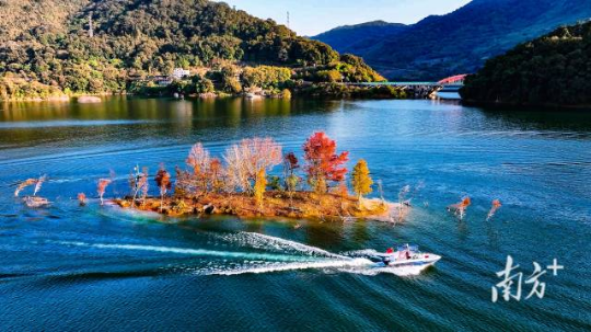 广州流溪河国家森林公园。 广州流溪河国家森林公园。