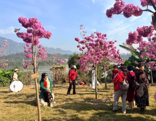 2023年由民营企业家与爱心人士共同种植形成的 2023年由民营企业家与爱心人士共同种植形成的