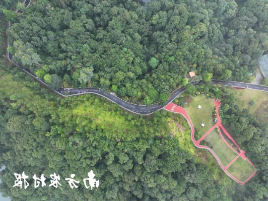 受访者供图
