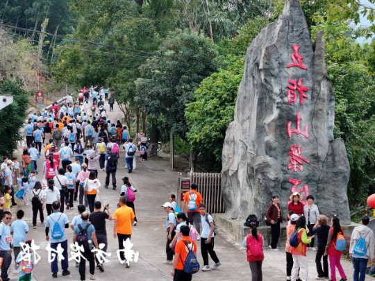 受访者供图