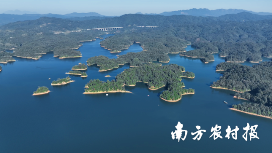 受访者供图
